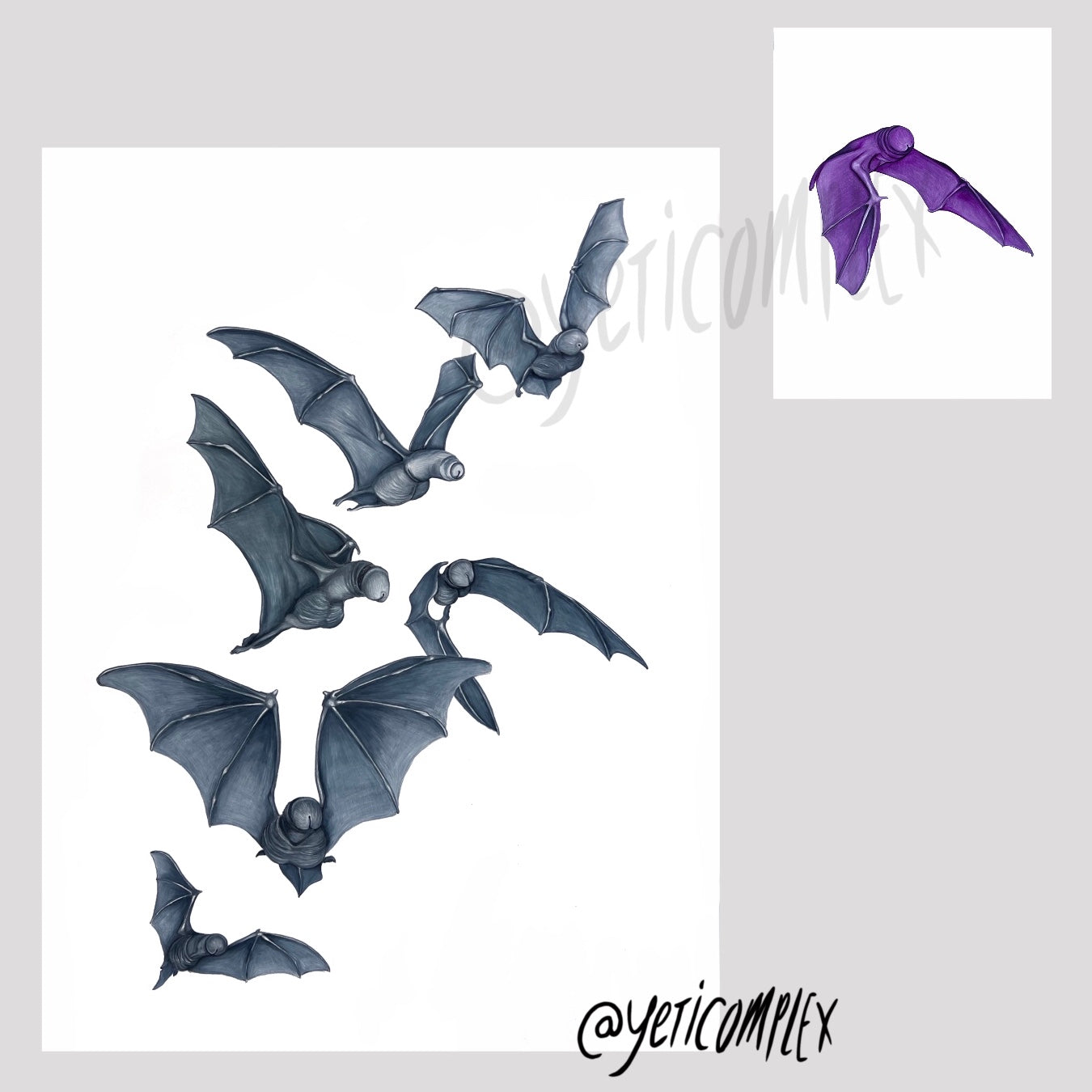 Bats (1 & 2)